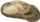 Nesovitrea hammonisSTRIMGLANSSNÄCKA2,2 × 4,0 mm
